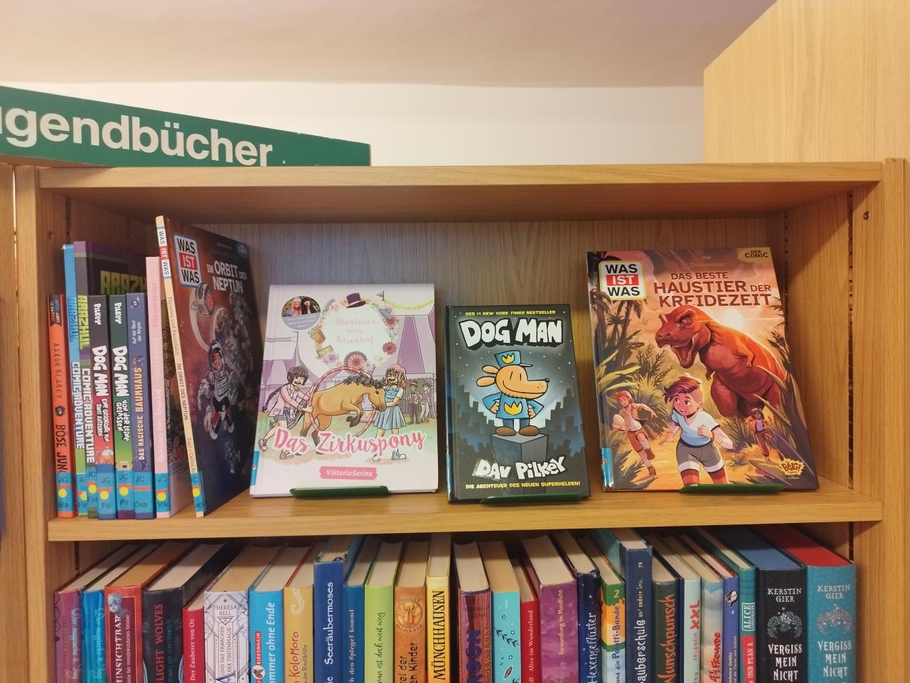 Innenansicht Bibliothek